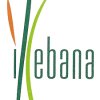 Floristeria Ikebana